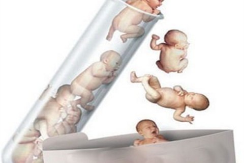 http://jinhua.dacou.net/post/194.html|金华新闻中心